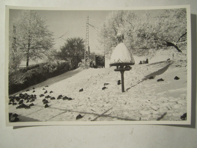 VANHA Postikortti Tampere 1950-l Alkup.Mallikappale