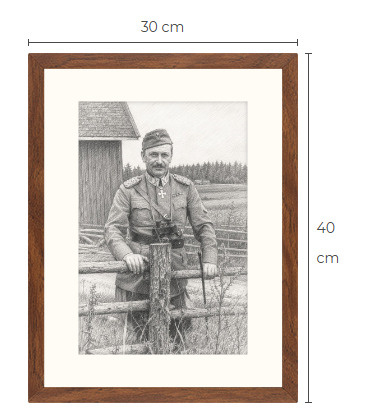 Uusi Mannerheim art print kehystetty 30 cm x 40 cm