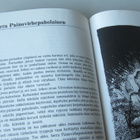 Taikalantti - Kala- ja Pyhäjokilaakson oma satukirja - pikkukuva 5