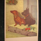 Kaksi  Koiraa. Postikortti 1940-luvulta - pikkukuva 1