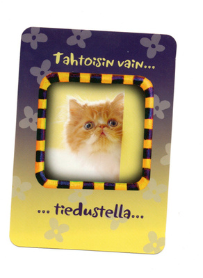 Kissa...°°Tahtoisin vain...TIEDUSTELLA°° -KORTTI /Kulkematon