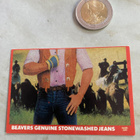Diggers jeans juliste ja Beavers tarra - pikkukuva 2