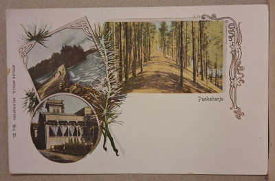Punkaharju: Sommitelma *** (1916)