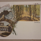 Punkaharju: Sommitelma *** (1916) - pikkukuva 1