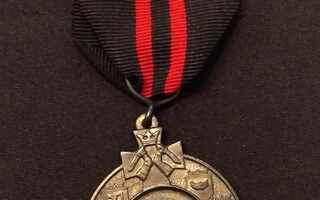 Talvisodan muistomitali Koivisto soljella