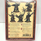 WHFB - Chaos Warriors Chosen Command - pikkukuva 2