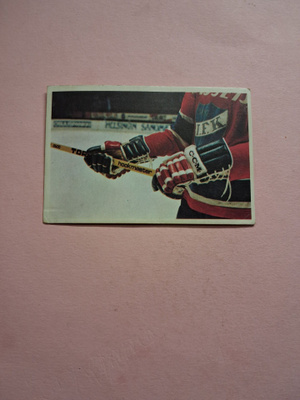 Panda. Jääkiekkokoulu. 9.