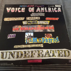 LITTLE STEVEN Voice of America LP - pikkukuva 2
