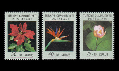 Turkki 1834-6 ** Kukkafestivaali (1962)