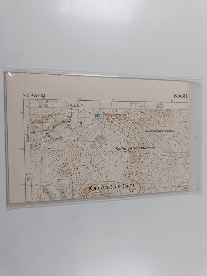 Topografinen kartta 1:20 000, N:o 4624 03 : Naruska