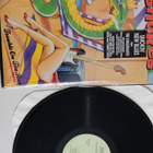 The Kingsnakes : Trouble On The Run vinyyli lp - pikkukuva 1