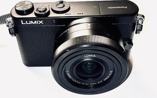 Panasonic Lumix DMC-GM1