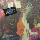 CARLA BOZULICH - BOY - US/CAN 2014 BOOKLET M-/M- LP - pikkukuva 1