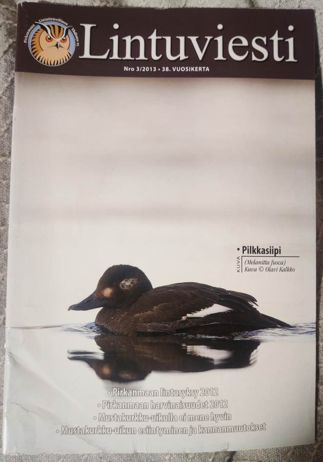 LINTUVIESTI 3/2013 Pily yhdistyslehti