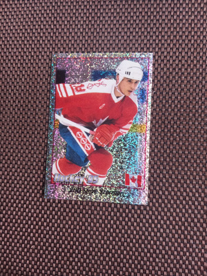 Panini Hockey 1995 stickers Steve Yzerman