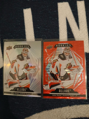 Lukas Dostal - UD allure rookies / Ducks
