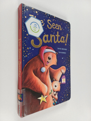 David Bedford : I've seen Santa!