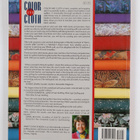 Mary Coyne Penders : Color and Cloth - pikkukuva 2