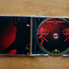 Spiritual Beggars – Demons CD *harvinaisuus - pikkukuva 2