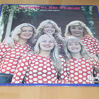 LP Ahonkylän Flikat johtaa Lasse Lintala ( 1975 ) - pikkukuva 1