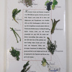 Myrsini Lambraki : Herbs, Greens, Fruit - pikkukuva 2