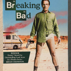 Breaking Bad: Kausi 1 (2008) Bryan Cranston (3DVD) - pikkukuva 1