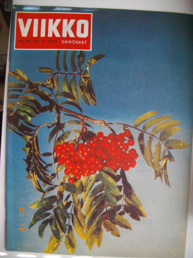 Viikkosanomat Nro 38/1955 (27.6)