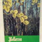 Pellervo N:o 7 huhtikuu 1971 - pikkukuva 1