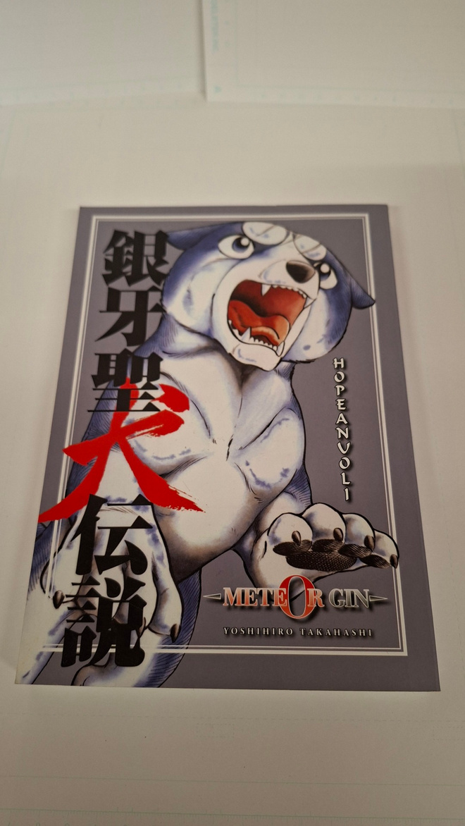 Meteor Gin - Hopeanuoli