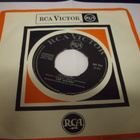 7" single : Lee Gaines : Villiruusu ( Sis. postikulut ) - pikkukuva 1
