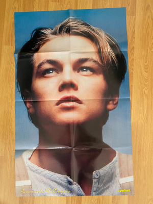 Leonardo DiCaprio juliste