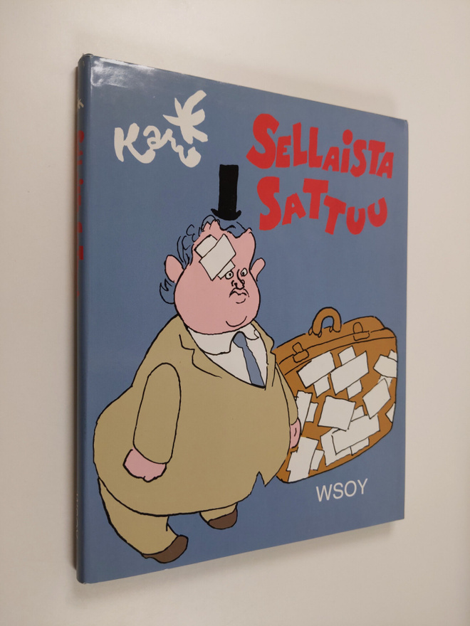 Kari : Sellaista sattuu
