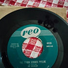Bo Diddley sinkku - pikkukuva 2