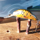 Salmo Sinking Hornet 3 - pikkukuva 2