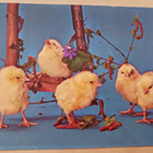 Viisi pikkutipua urpujen ja hiirenkorvien seassa, p. 1977 - pikkukuva 1