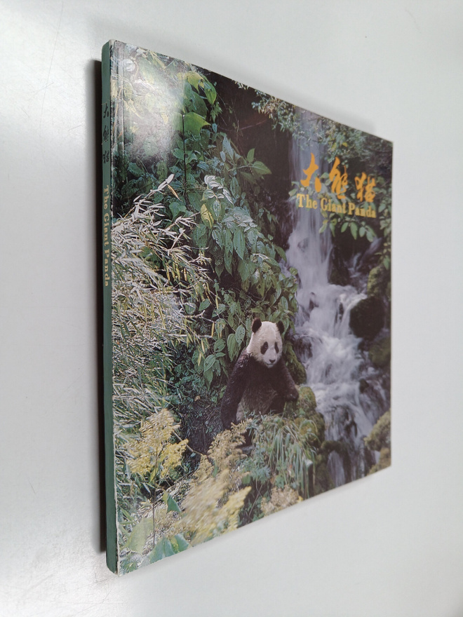 The giant panda