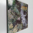 The giant panda - pikkukuva 1