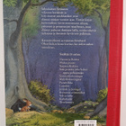 Jacob Grimm : Grimmin veljesten parhaat sadut - pikkukuva 2
