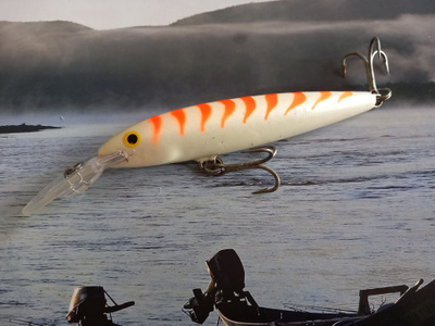 Rapala barra magnum