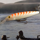 Rapala barra magnum - pikkukuva 1