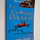 Mark Haddon : The Curious Incident of the Dog in the Nigh... - pikkukuva 1