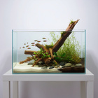 Uniikki akvaariojuurakko 42 cm | P042618 - pikkukuva 2