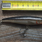 Rapala vaappu! - pikkukuva 2