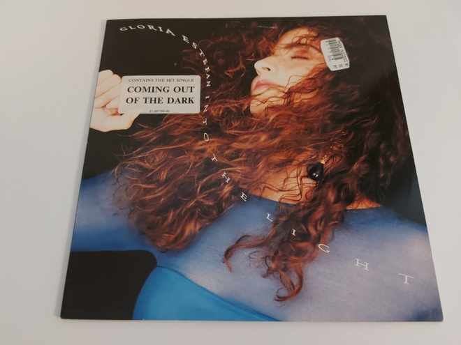 GLORIA ESTEFAN - INTO THE LIGHT ( LP . VINYYLI )