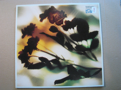 DANNY WILSON - The Second Summer Of Love ( Maxi-single )