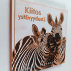 Bradley Trevor Greive : Kiitos ystävyydestä - pikkukuva 1