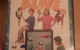 Sega Genesis (Mega Drive) Art Alive, ei ohjeita