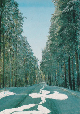 Punkaharju