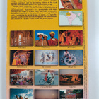Samuel Israel : Rajasthan - pikkukuva 2