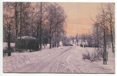 Helsinki Kaisaniemestä, talvikuva, kulkenut 1911